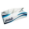 WINDSOFT Facial Tissue - 100 Tissues per Box